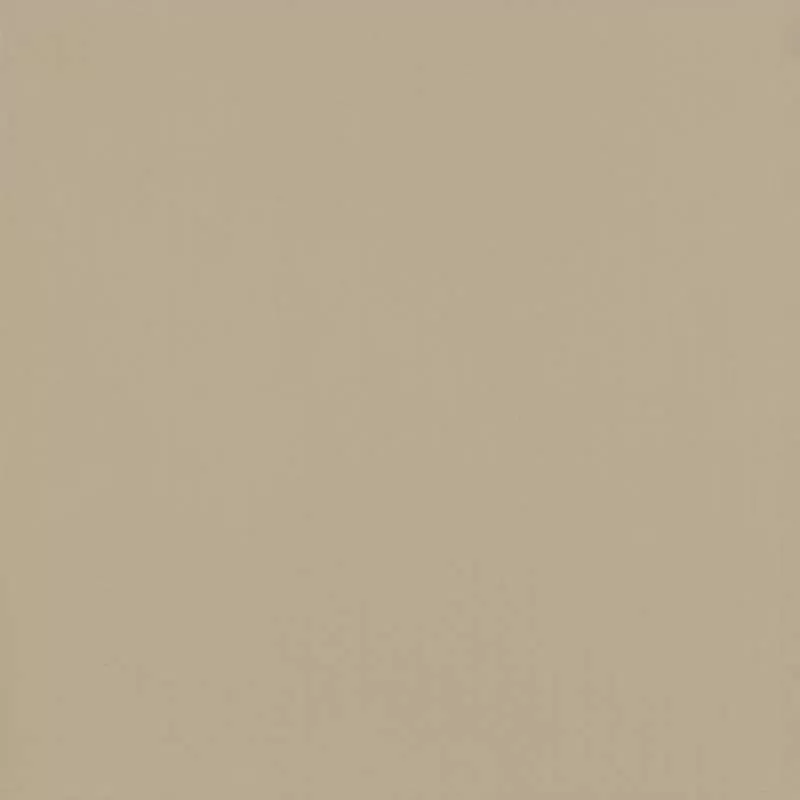 Gạch Viglacera 60x60 TS6-602 