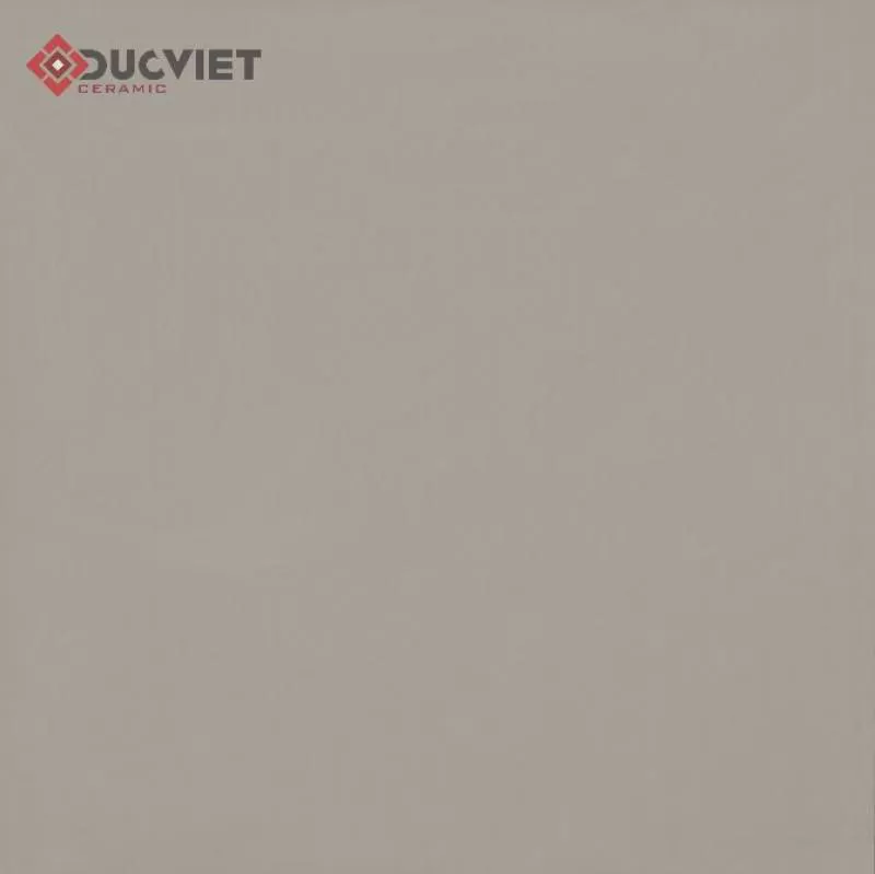 Gạch Viglacera 60x60 TS6-603