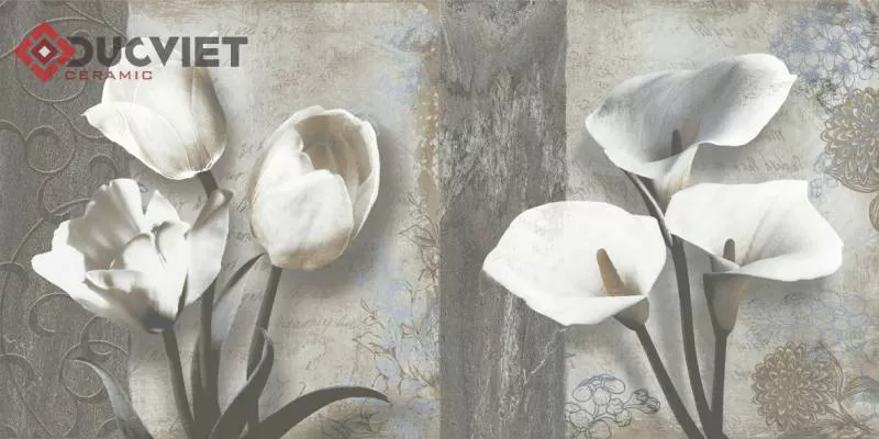 Gạch Viglacera 30x60 BS3641A 