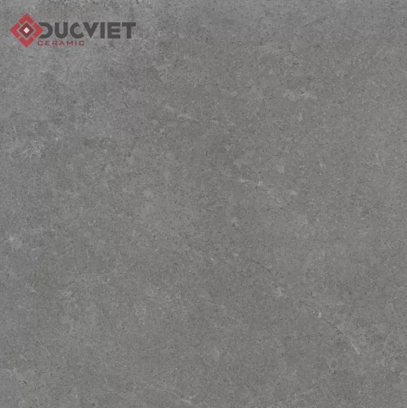 Gạch Eurotile 20mm PT20-G6603 60x60