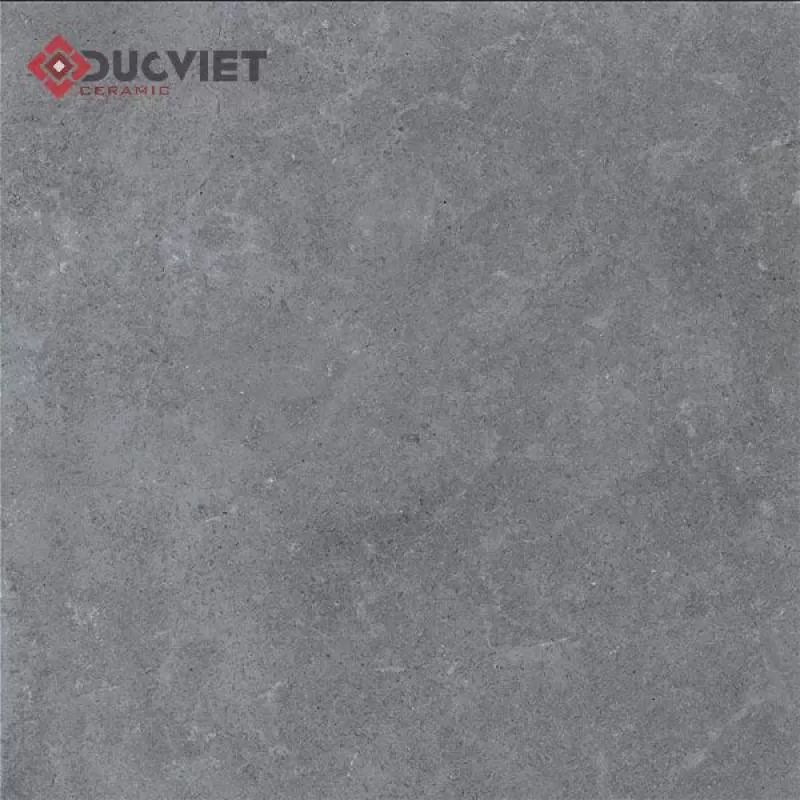 Gạch Eurotile 20mm PT20-G6605 60x60 