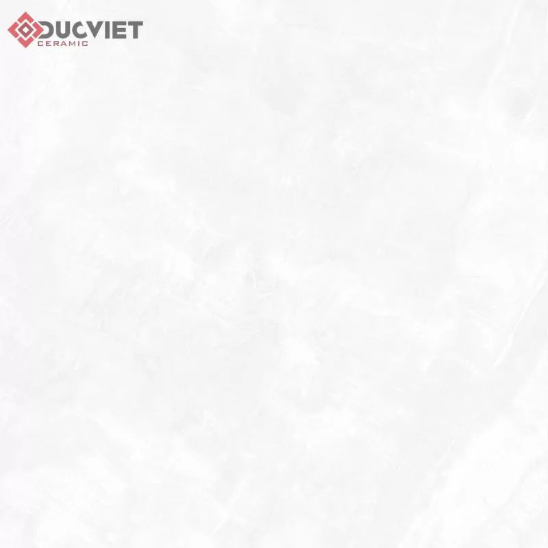 Gạch Eurotile DNI S01P 120x120