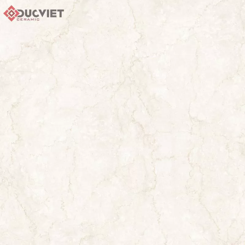 Gạch THT S04P Eurotile 120x120cm – Đức Việt Ceramic