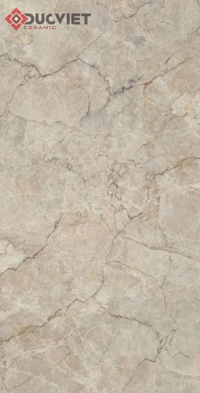 Gạch Eurotile SOD N01P 75x150 