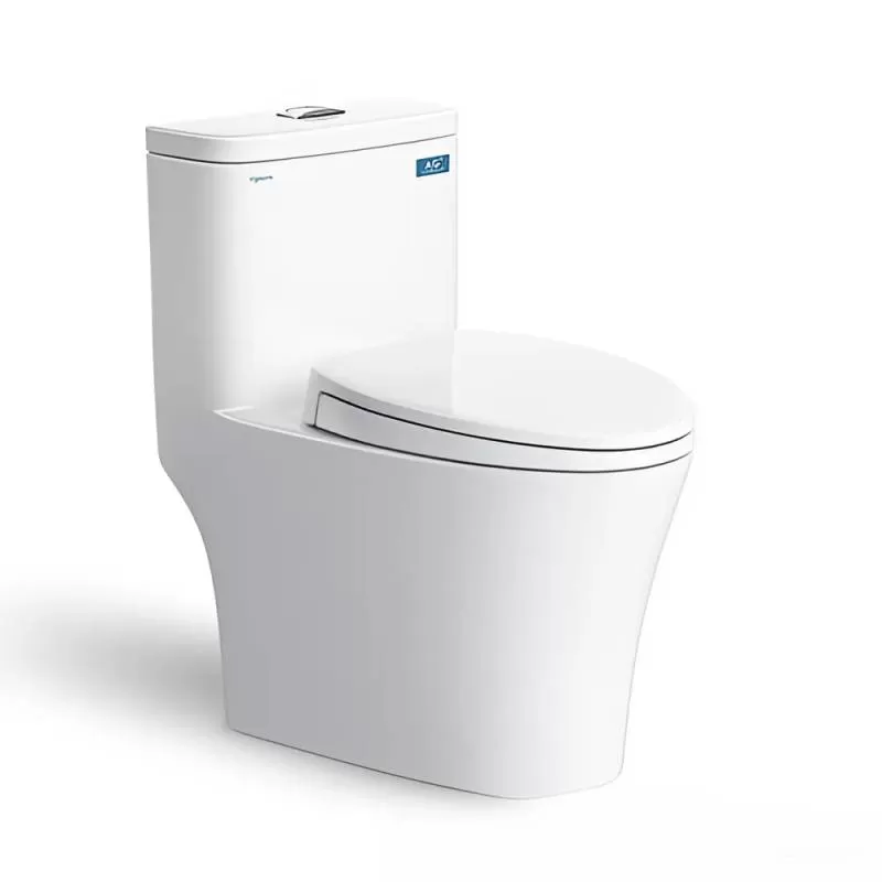 BÀN CẦU MỘT KHỐI V63