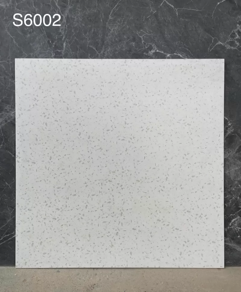 Gạch Terrazzo KT 600x600 mã S6002