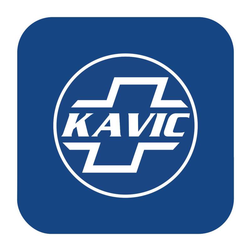 Logo KAVIC Và Triết Lý Đằng Sau Một Thương Hiệu Sơn