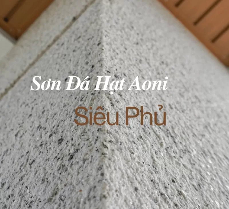 New) Sơn đá Aoni siêu phủ thế hệ mới - màu càng đậm phủ càng cao