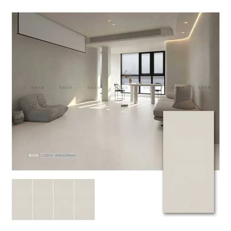 60x120 TV Background Wall Decor Cement Look  Tiles Ceramic Porcelain Floor Tile