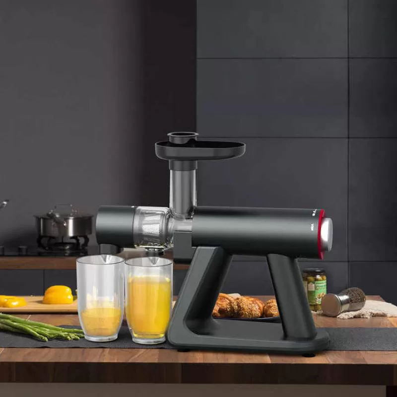 Assembly Easy Juicer Extractor Machine Multifunctional Fresh Juice Masticating Slow Pressed Juicer 