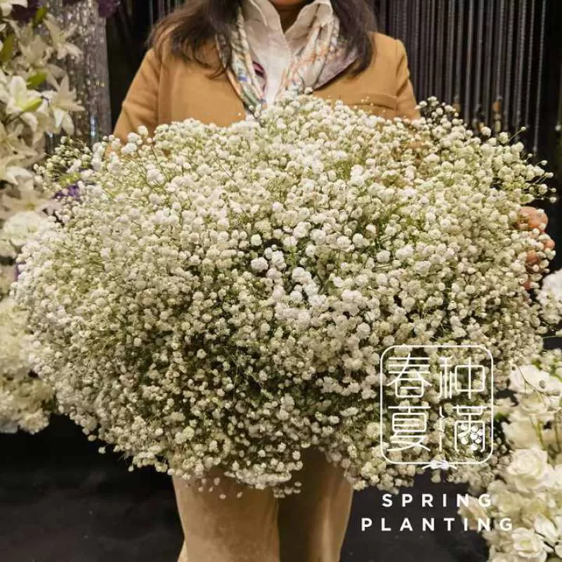 SPRING PLANTING Wholesale Artificial Gypsophila Real Touch Wedding Home Decoration Artificial Baby Breath Flower