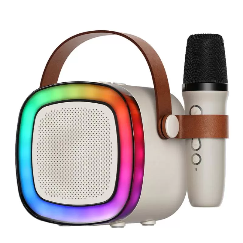 Mini Portable Karaoke Bluetooth Speaker Dual Microphone Audio Integrated Microphone Home Karaoke Wireless Bluetooth Speaker