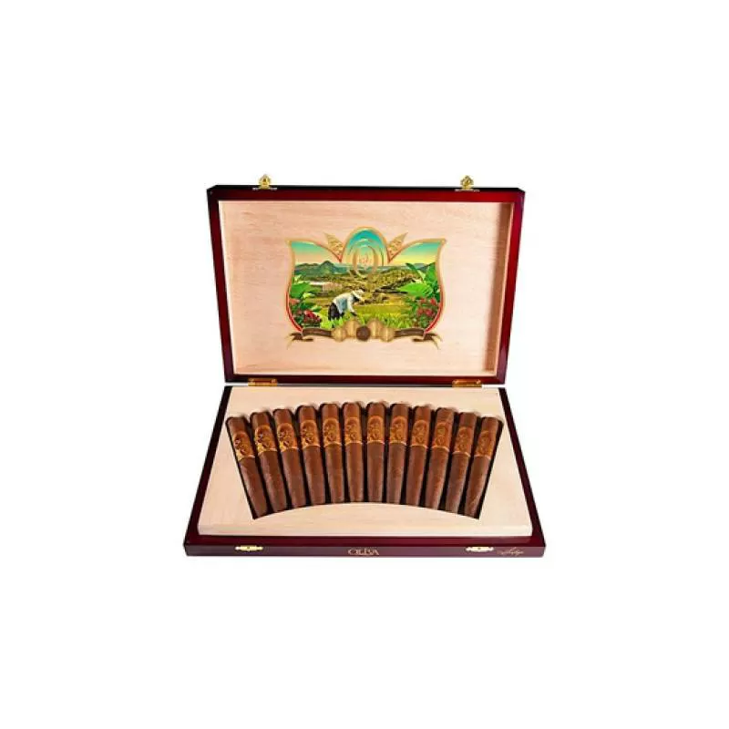 Xì gà Oliva Serie V 135th Anniversary Edición Limitada