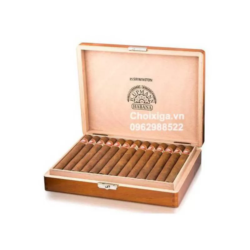 Xì gà H. Upmann Sir Winston giá RẺ NHẤT Hà nội, TPHCM, Sài Gòn