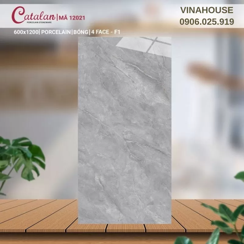 Gạch Catalan 60x120 vân đá xám ghi 12021
