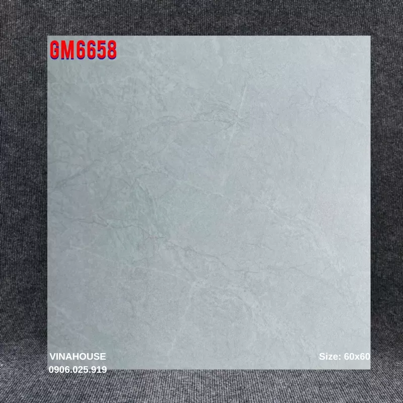 Gạch Viglacera 60x60 GM6658