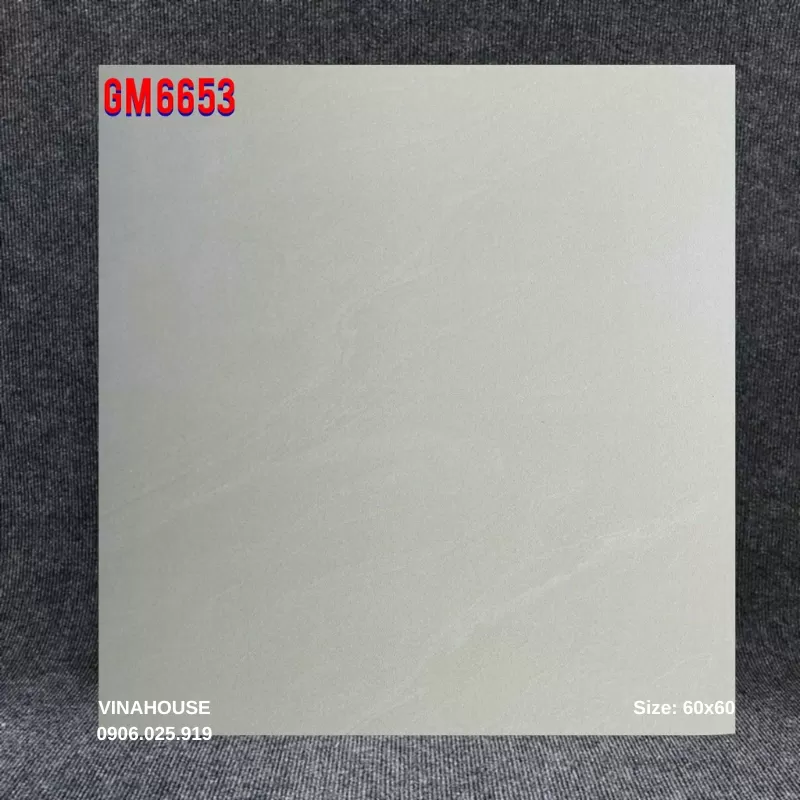 Gạch Viglacera 60x60 GM6653