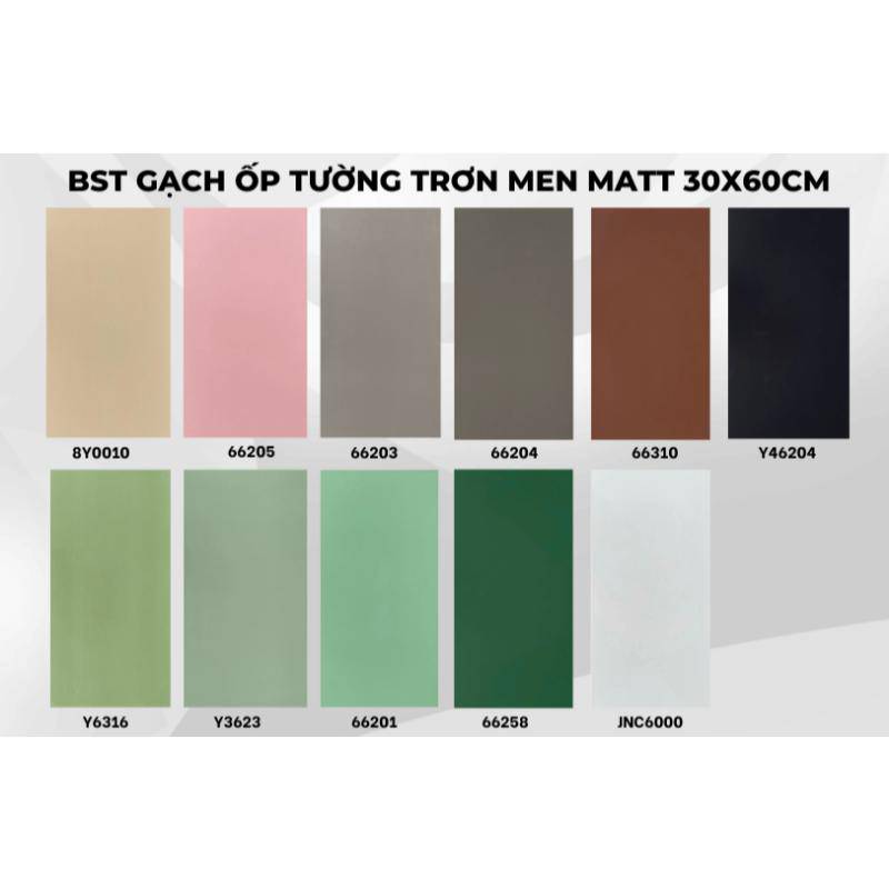 Gạch ốp tường 300x600mm 8Y0010