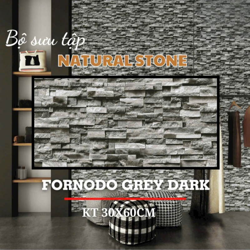 Gạch ấn độ ốp tường nội ngoại thất 300x600mm DS02