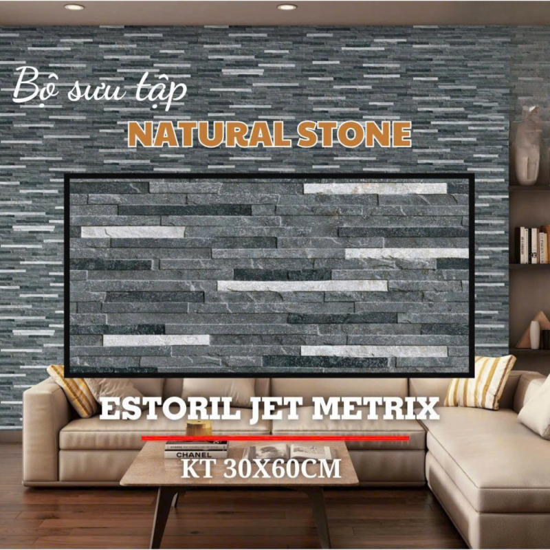 Gạch ấn độ ốp tường nội ngoại thất 300x600mm DS05