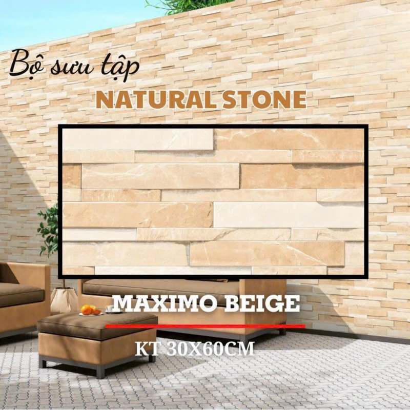 Gạch ấn độ ốp tường nội ngoại thất 300x600mm DS04