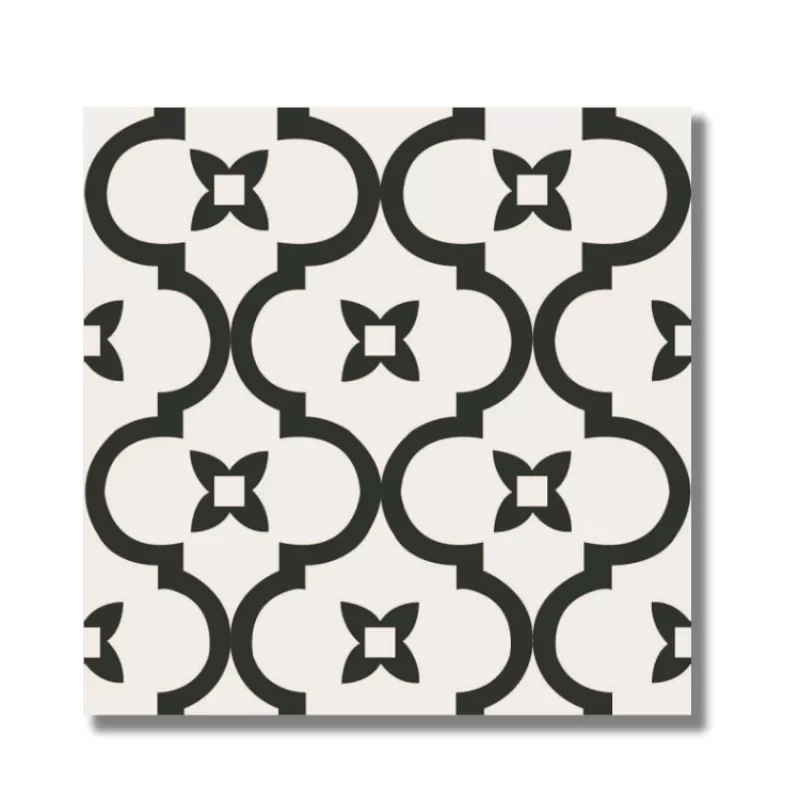 Gạch bông 200x200mm (BD trắng) DS2904