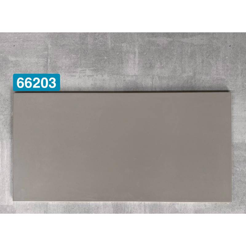 Gạch ốp tường 300x600mm 66203