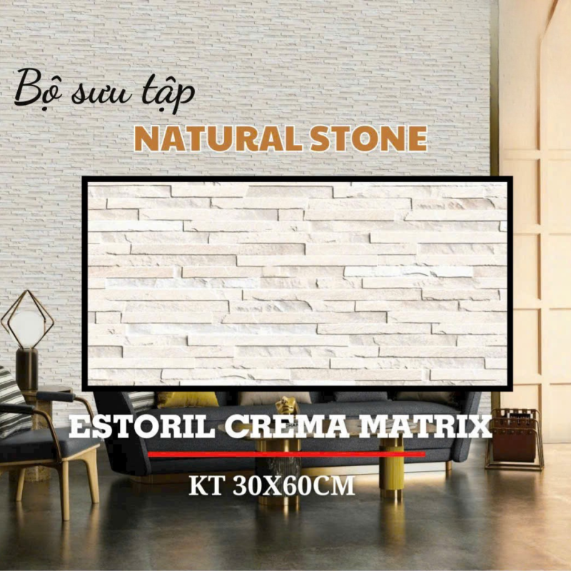 Gạch ấn độ ốp tường nội ngoại thất 300x600mm DS03