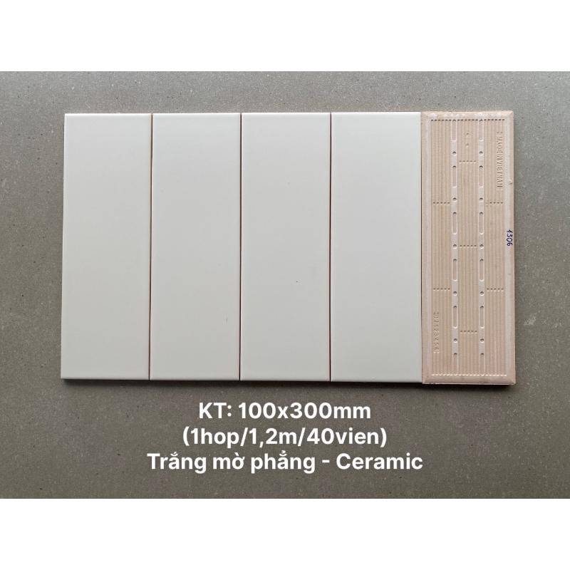 Gạch thẻ trắng mờ phẳng KT 100x300mm STA1306 