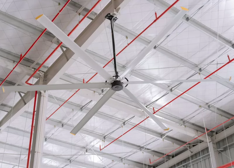 Quạt trần cánh lớn ĐMA 5.5m