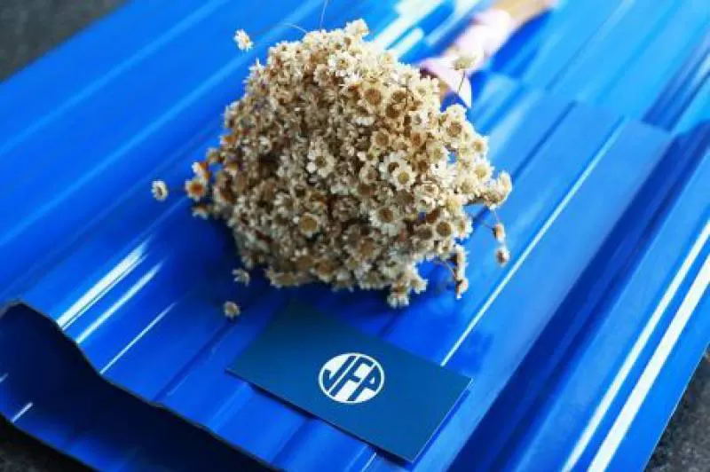 Tôn nhựa Việt Pháp thay thế tôn xốp trong tương lai?