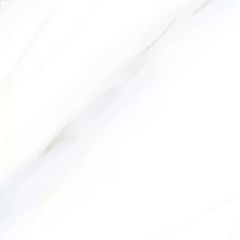 Gạch đồng tâm 4040GECKO004