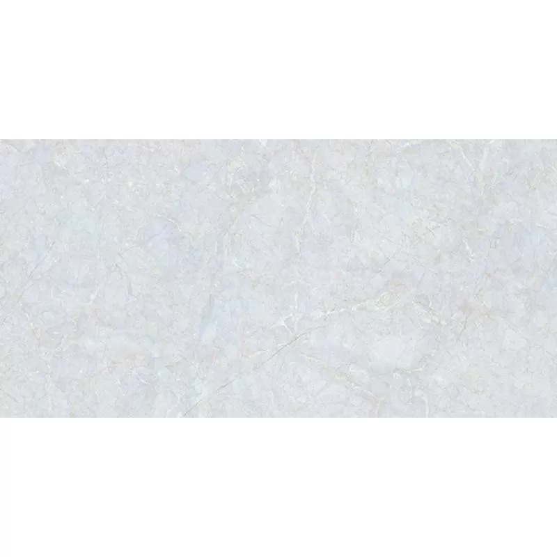 Gạch đồng tâm 4080FAME006-H+