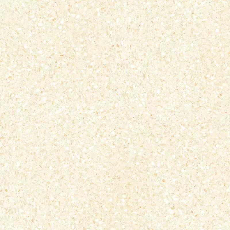 Gạch đồng tâm 8080ROME004-H+