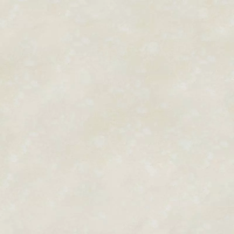 Gạch Đồng Tâm 6060PLATINUM003