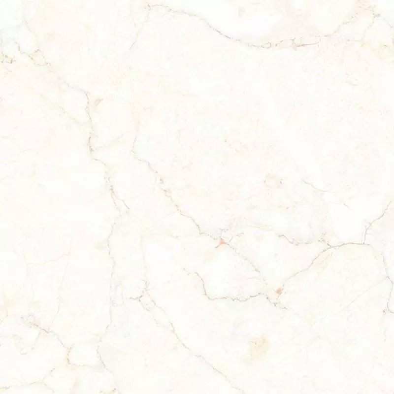 Gạch đồng tâm 6060VAMCODONG005-FP