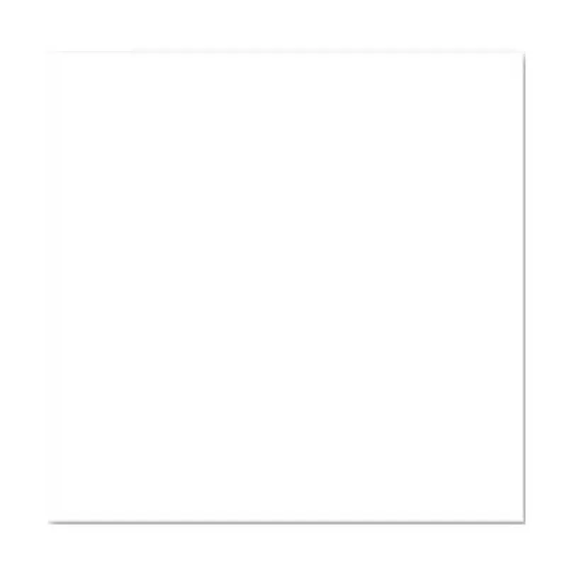 Gạch Đồng Tâm - 6060SNOW001-FP