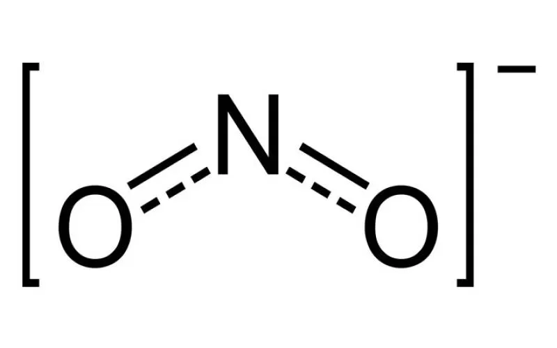 NITRITE LÀ GÌ? LIÊU CÓ HẠI ĐẾN CUỘC SỐNG CỦA CHÚNG TA HAY KHÔNG?