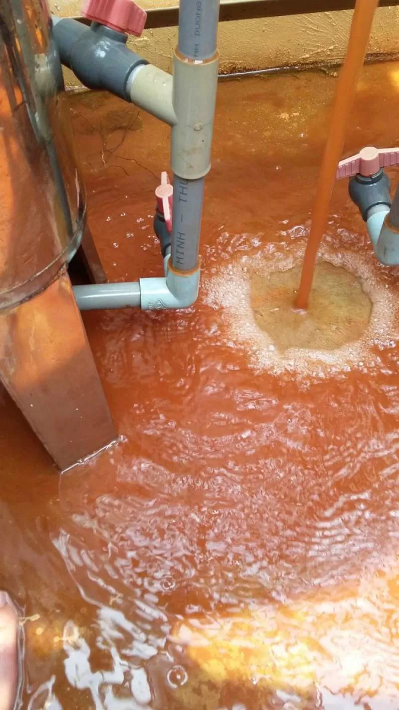 TÁC HẠI KHÔNG LƯỜNG CỦA NƯỚC NHIỄM PHÈN