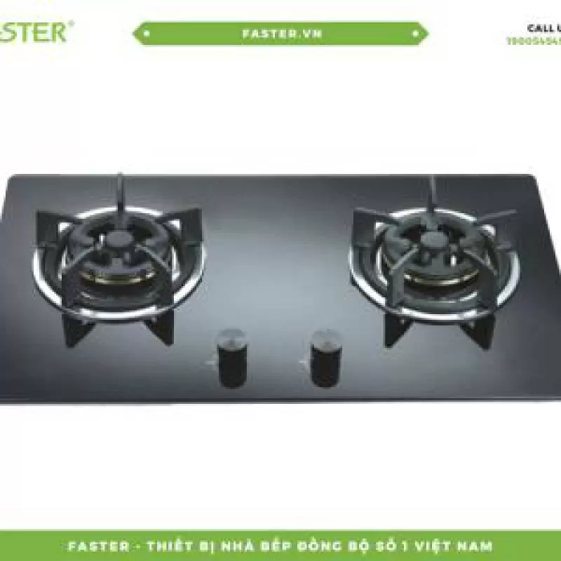 Bếp gas âm FS - 201S (FS204S)