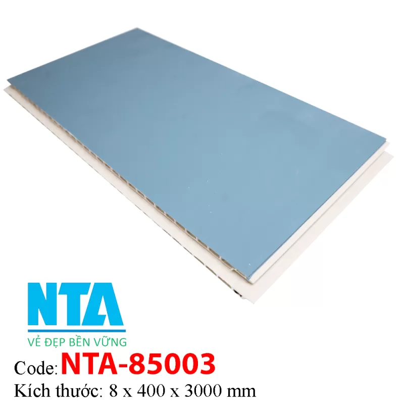 Tấm Ốp Tường NTA85003 