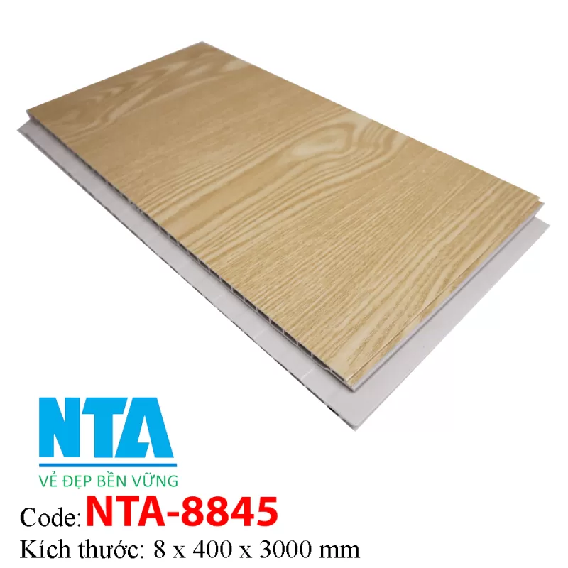 Tấm Ốp Tường NTA8845