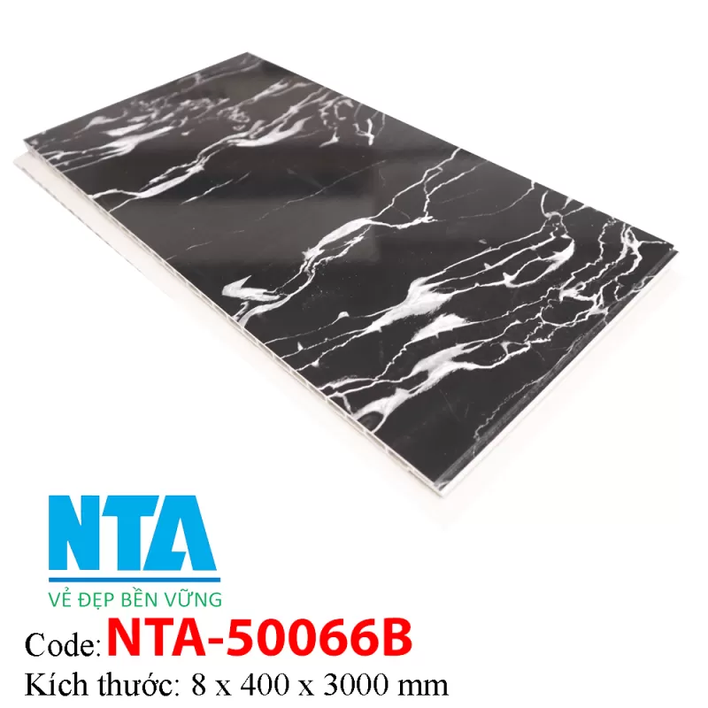 Tấm Ốp Tường NTA50066B