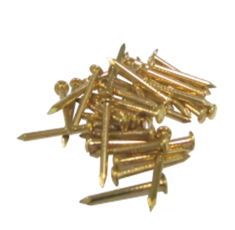 Đinh Chỉ Trang Trí - Vàng